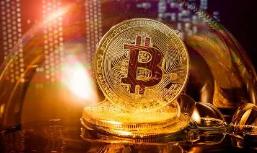 如何下载kdpay钱包?kdpay钱包下载方法详解