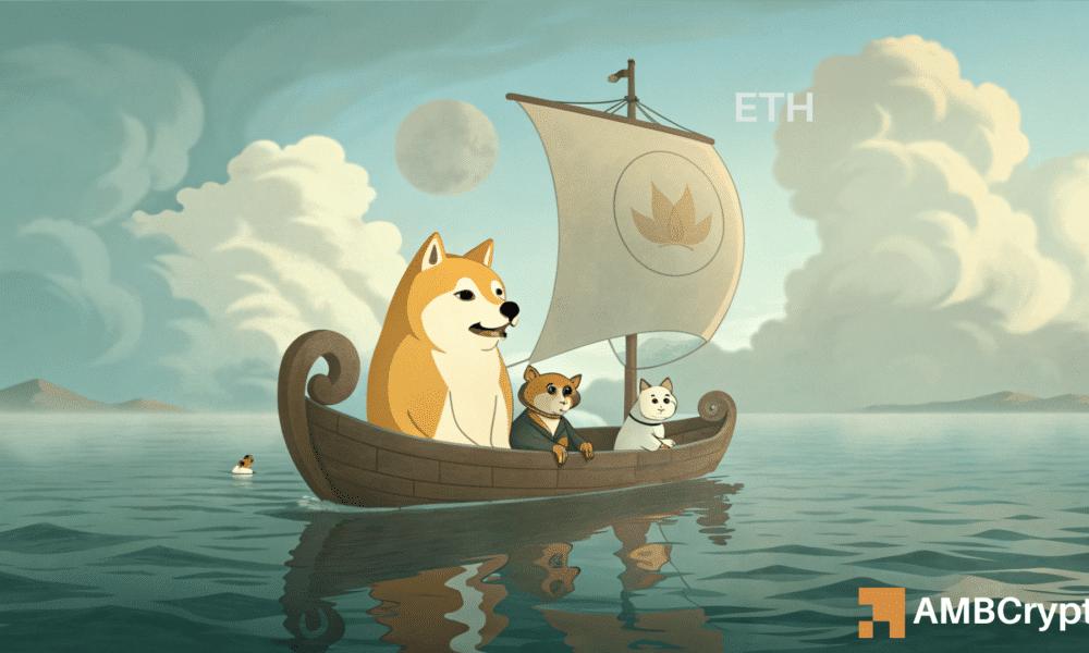Dogecoin - How Stagnant Whale Activity is Affecting its Price